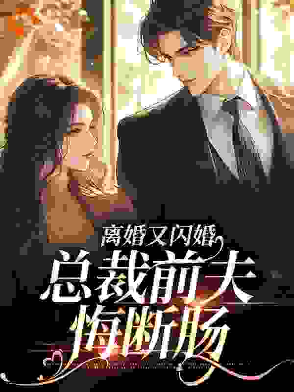 精彩离婚又闪婚，总裁前夫悔断肠小说